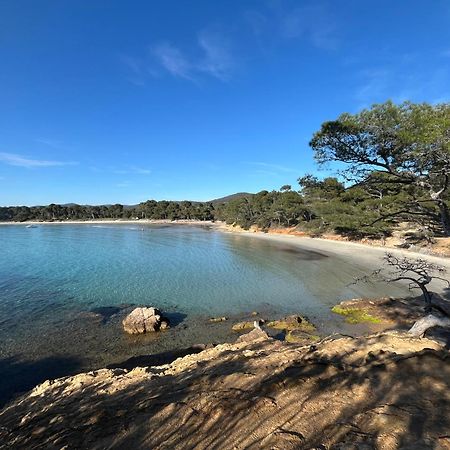 Appartement Plage Piscine Et Tennis Inclus La Londe-les-Maures Exteriör bild