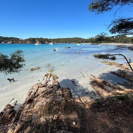 Appartement Plage Piscine Et Tennis Inclus La Londe-les-Maures Exteriör bild