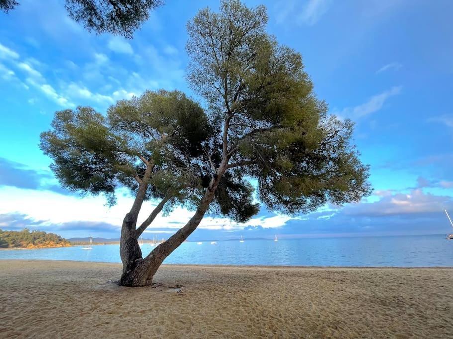 Appartement Plage Piscine Et Tennis Inclus La Londe-les-Maures Exteriör bild