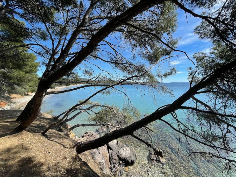 Appartement Plage Piscine Et Tennis Inclus La Londe-les-Maures Exteriör bild