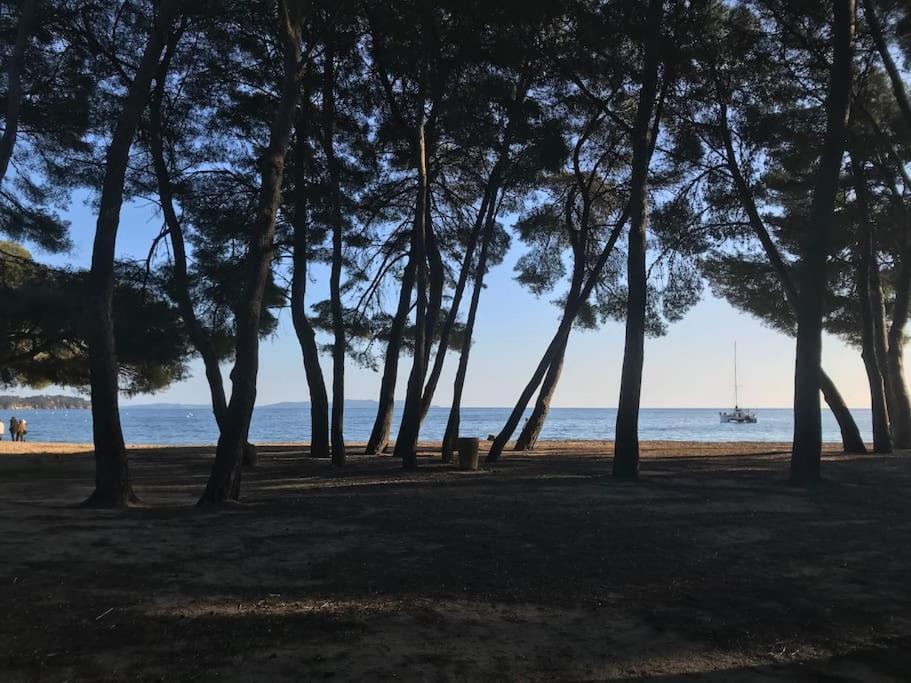 Appartement Plage Piscine Et Tennis Inclus La Londe-les-Maures Exteriör bild