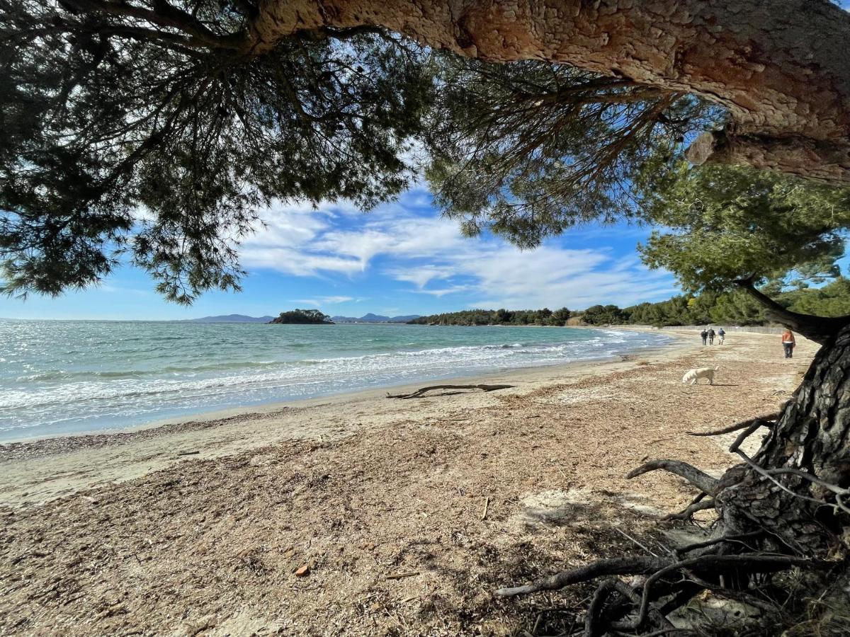 Appartement Plage Piscine Et Tennis Inclus La Londe-les-Maures Exteriör bild