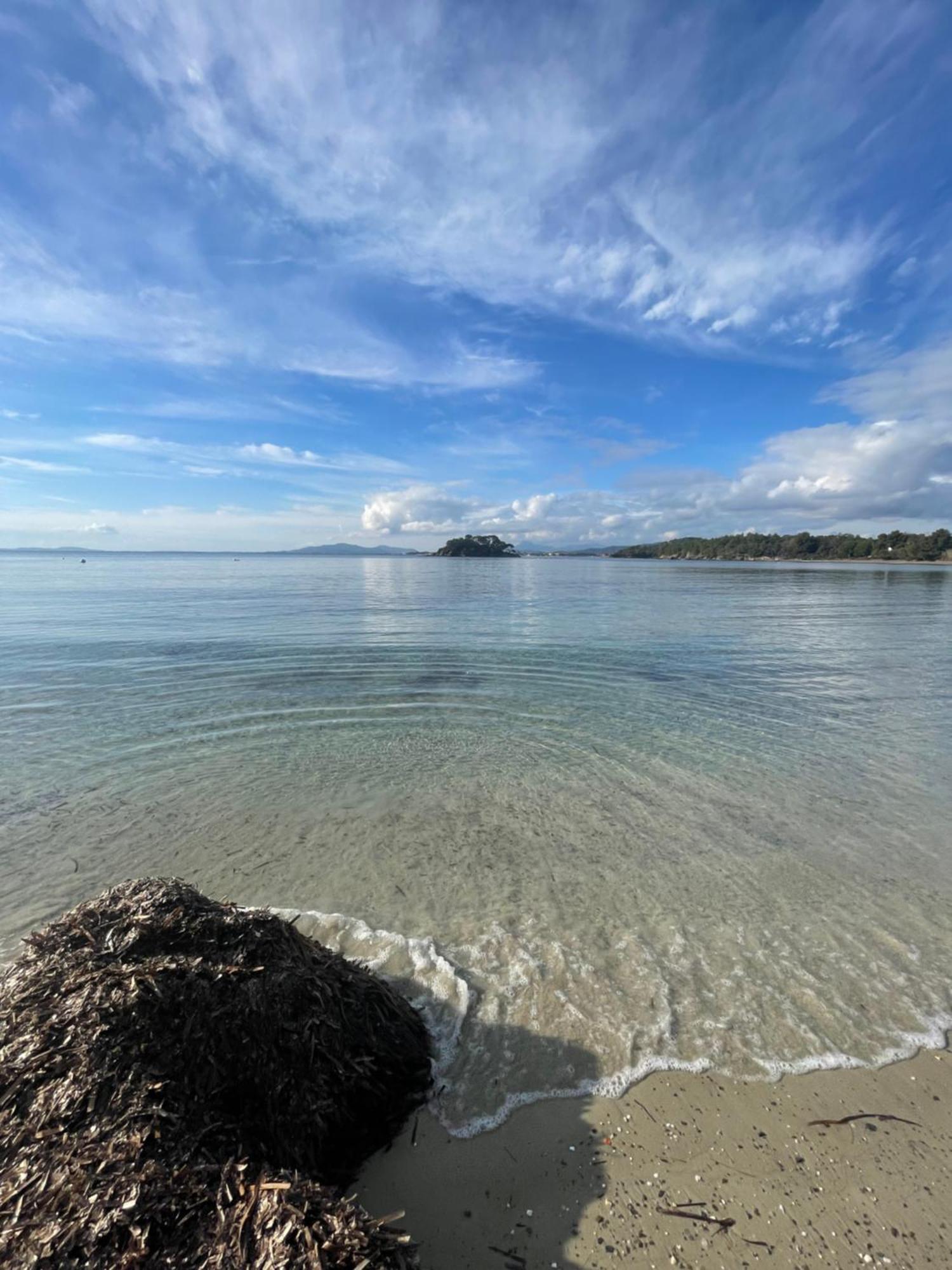 Appartement Plage Piscine Et Tennis Inclus La Londe-les-Maures Exteriör bild