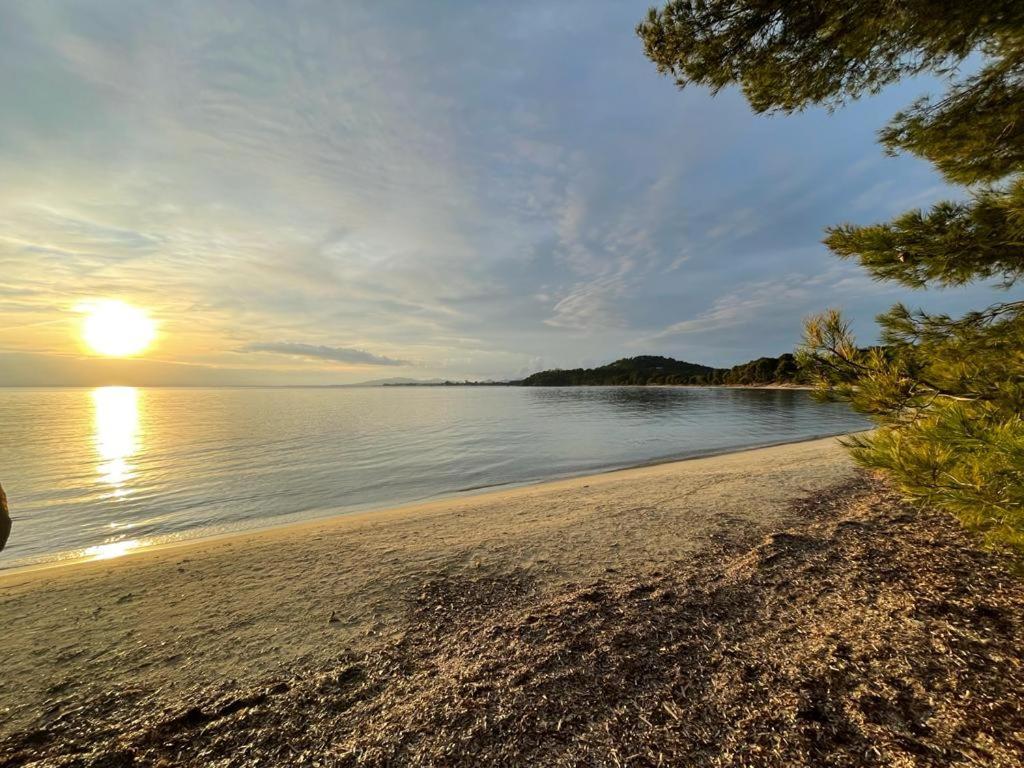 Appartement Plage Piscine Et Tennis Inclus La Londe-les-Maures Exteriör bild